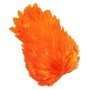 Whiting 4b høne saddle Orange