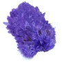 Whiting 4b høne saddle Purple