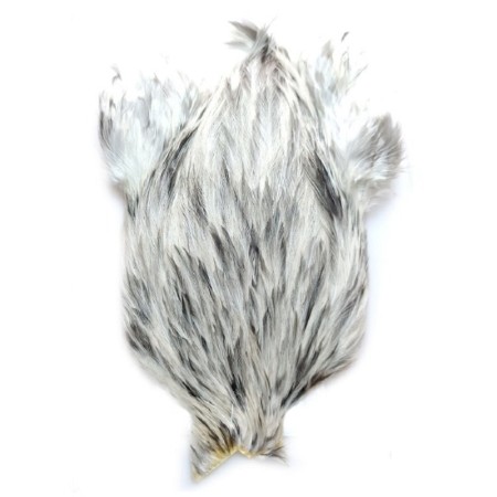Whiting Splash 4b hane nakke