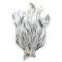 Whiting Splash 4b hane nakke