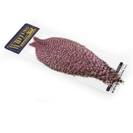 Whiting american hane nakke Shell Pink grizzly