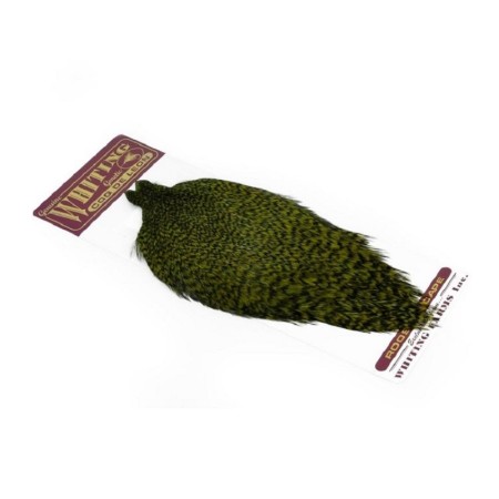 Whiting Grizzly Olive Coq de Leon hane nakke
