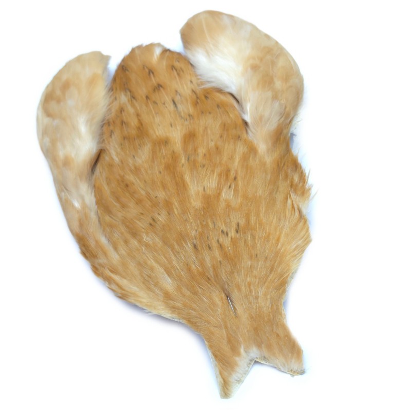 Whiting Medium ginger 4b Høne nakke