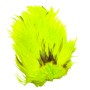 Whiting 4b Hane saddle Fl. yellow chartreuse