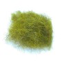 Hare dubbing Olive