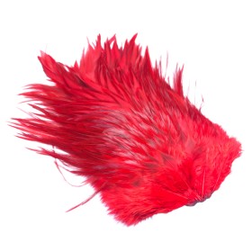 Whiting Rød 4b Hane saddle