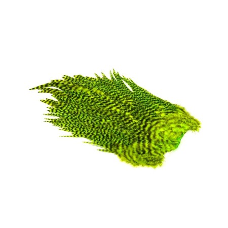 Whiting Chartreuse grizzly 4b Hane saddle