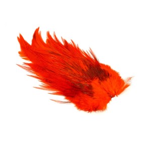 Whiting 4b Hane saddle Orange