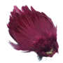Whiting american streamer pack Claret