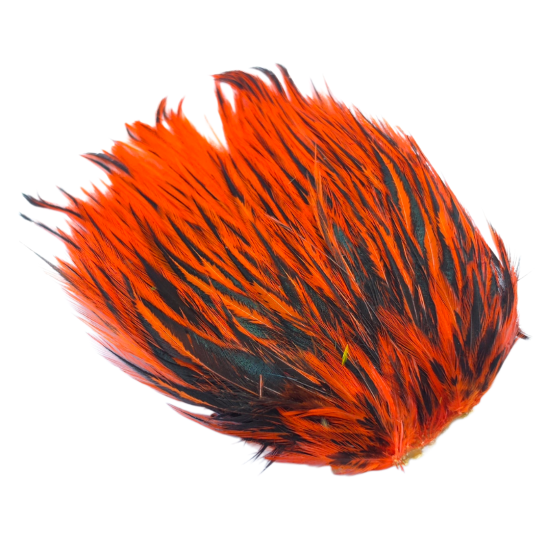 Whiting american streamer pack BLW orange