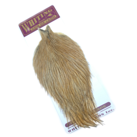 Whiting Coq de Leon Golden badger hane nakke