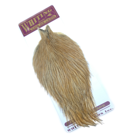 Whiting Coq de Leon Golden badger hane nakke