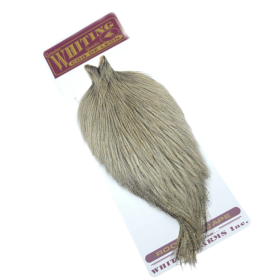 Whiting Coq de Leon Cream badger hane nakke