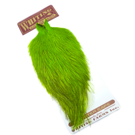 Whiting Coq de Leon Fl. green chartreuse badger hane nakke