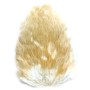 Whiting 4b høne saddle Medium ginger