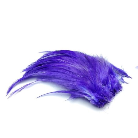 Hane fjer Purple