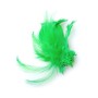 Hane fjer Green Highlander