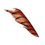 Amherst fasan hale stykke Orange