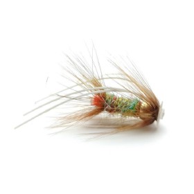 Brenda FlatHead