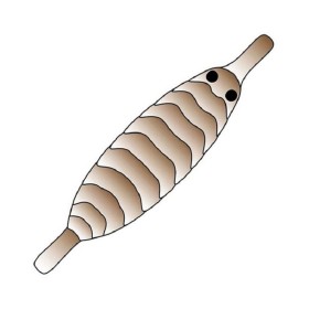 Pro Gammarus Shell Back str. XS - Brun