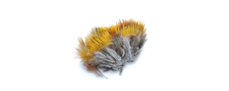 Guldfasan fjer  - Fasan patch - Fasan fjer HER