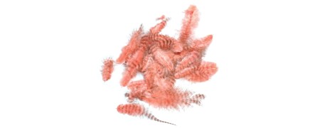Soft hackle fjer til dit fluebinding - Perfekt fjer til front hackle