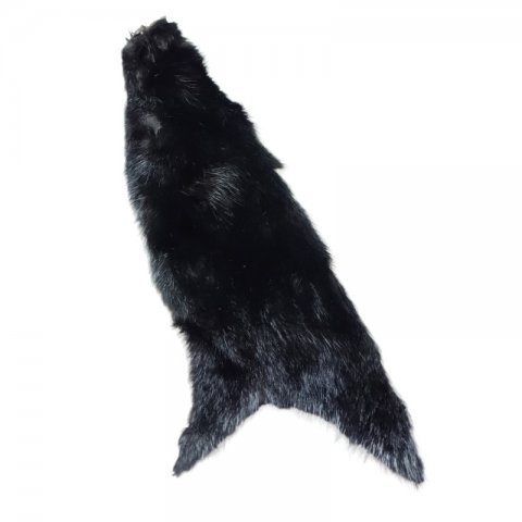 Muskrat halvt skind Sort