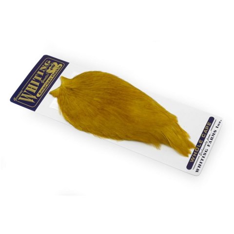 Whiting Golden olive  american