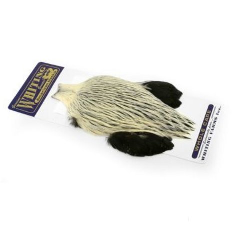 Whiting Silver Badger  american