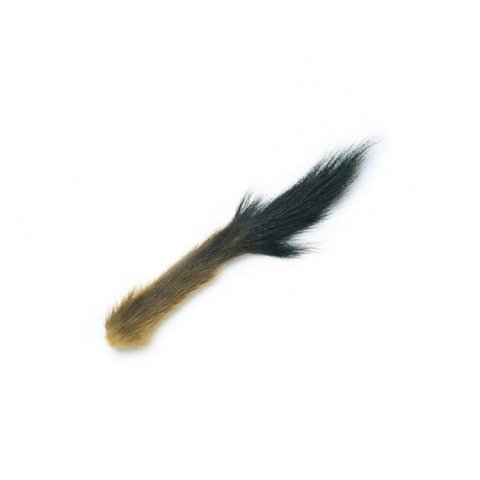 Stoats tail
