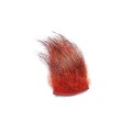 Vildsvine brster Orange