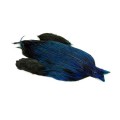 Whiting 4B King Fisher blue badger.