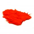 Whiting American Hen SH/C orange