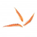 Kanin zonker strip - orange/sort - 10stk 